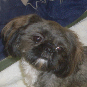 Kaylee