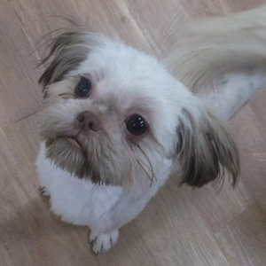 Sally
