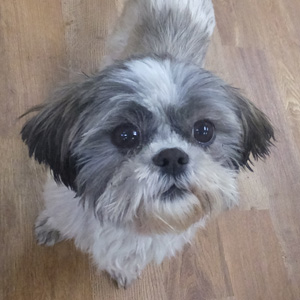 Minnie