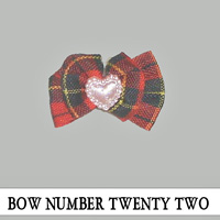 Bow Number Twenty Two