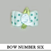 Bow Number Six