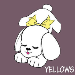 Yellow Bows