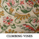 Climbing Vines