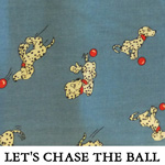 Let's Chase the Ball