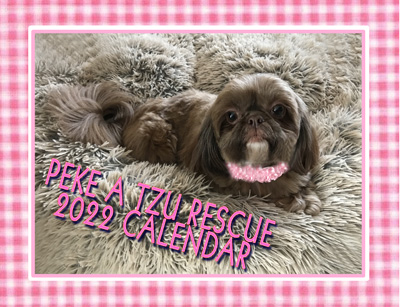 2022 Peke A Tzu Rescue Calendar