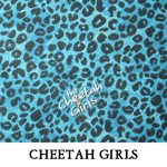 Cheetah Girls..ONE Small